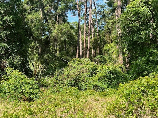 W Taylor Rd, Deland, FL 32720 - photo 4
