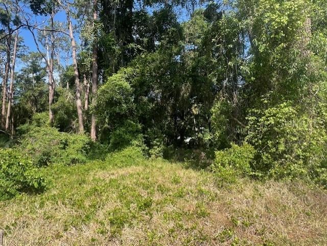 W Taylor Rd, Deland, FL 32720 - photo 5
