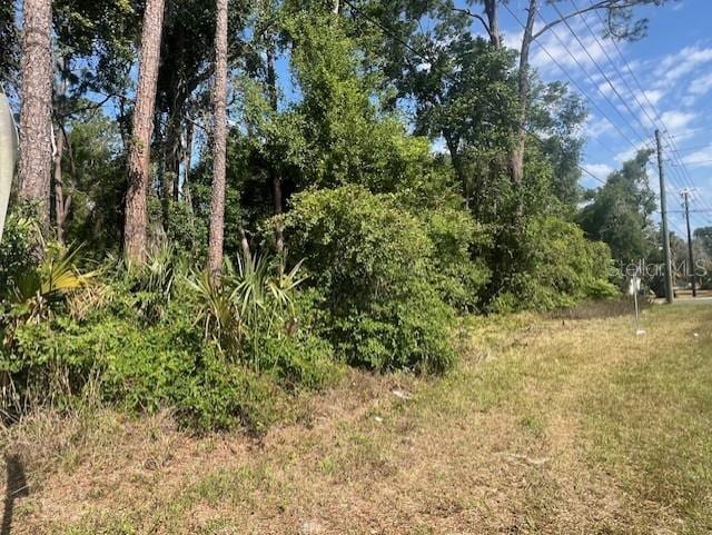 W Taylor Rd, Deland, FL 32720 - photo 6