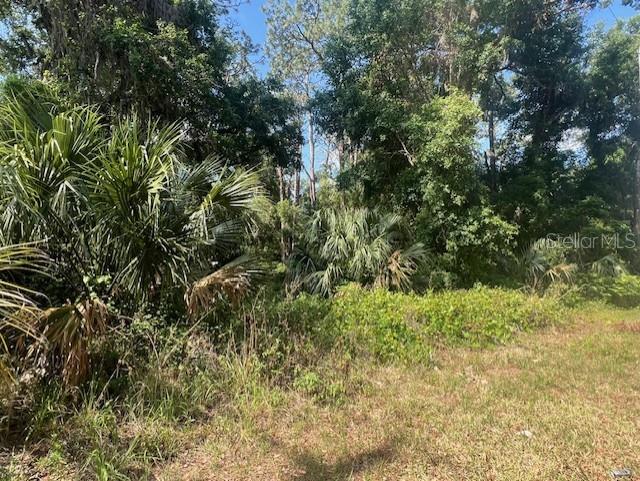 W Taylor Rd, Deland, FL 32720 - photo 7