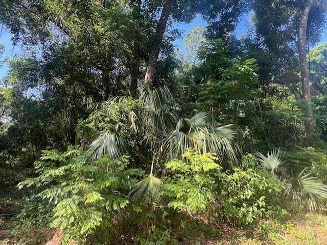 W Taylor Rd, Deland, FL 32720 - photo 8