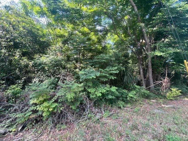 W Taylor Rd, Deland, FL 32720 - photo 9