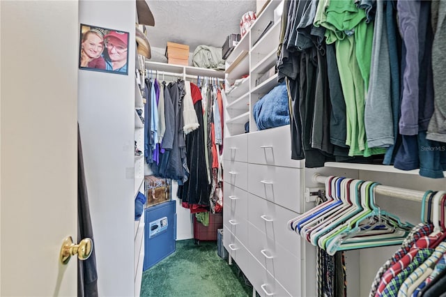 walk in closet with carpet floors