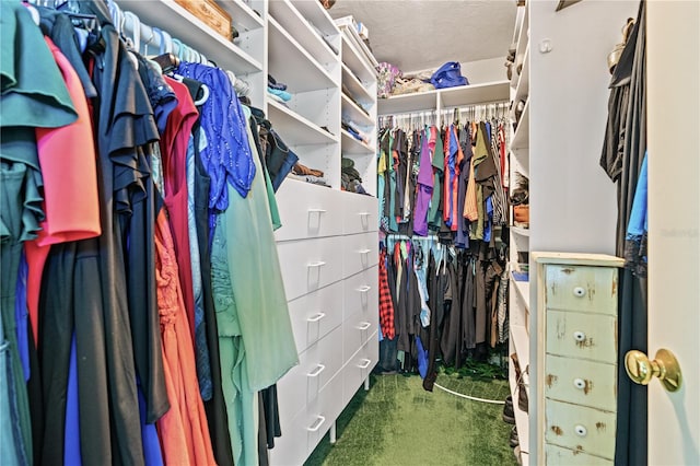 walk in closet featuring carpet flooring