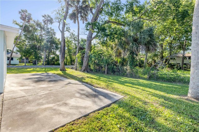 128 Oakridge Ave, Edgewater, FL 32132 - view of yard