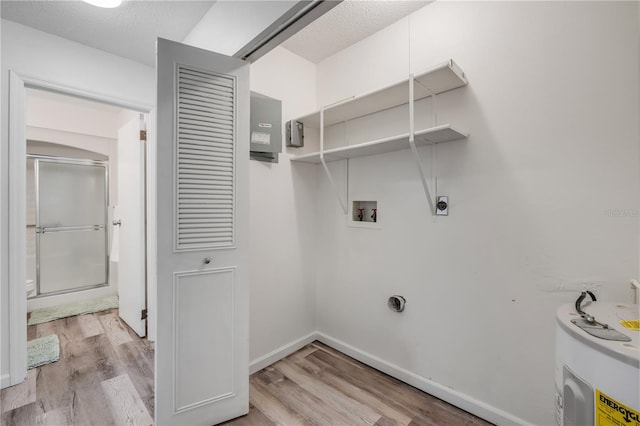 laundry area featuring light wood finished floors, laundry area, electric dryer hookup, and hookup for a washing machine