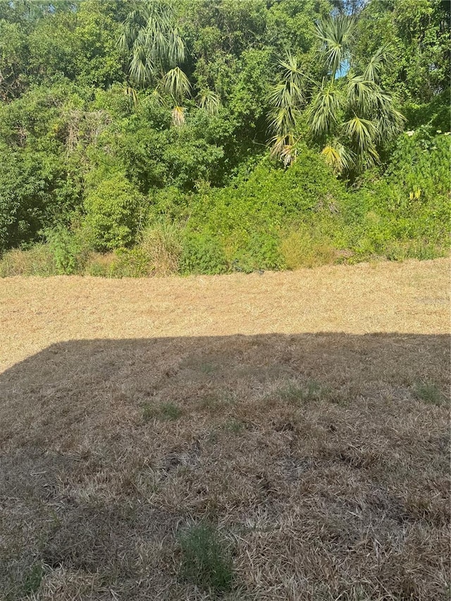 926 Clover St, Deland, FL 32720 - view of yard
