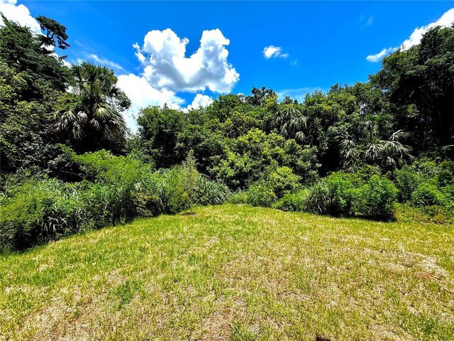 926 Clover St, Deland, FL 32720 - photo 28