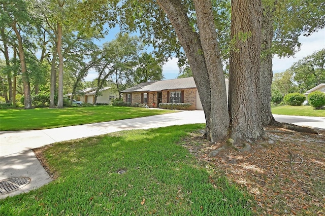 ranch-style house with brick siding and a front lawn