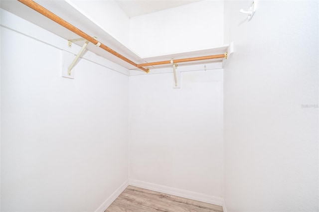 3107 Mapleshade St, Deltona, FL 32738 - spacious closet featuring light wood finished floors