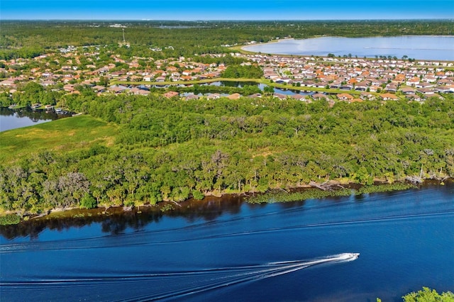 163 Rosa Bella Vw, Debary, FL 32713 - bird's eye view with a water view, a residential view, and a forest view