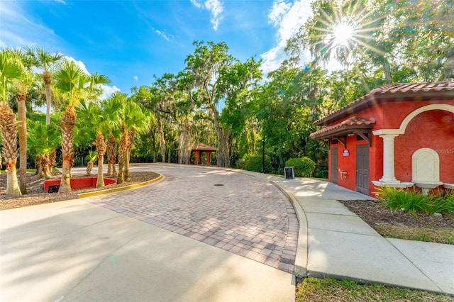 163 Rosa Bella Vw, Debary, FL 32713 - view of community with curved driveway