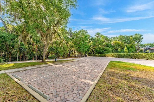 163 Rosa Bella Vw, Debary, FL 32713 - view of home's community