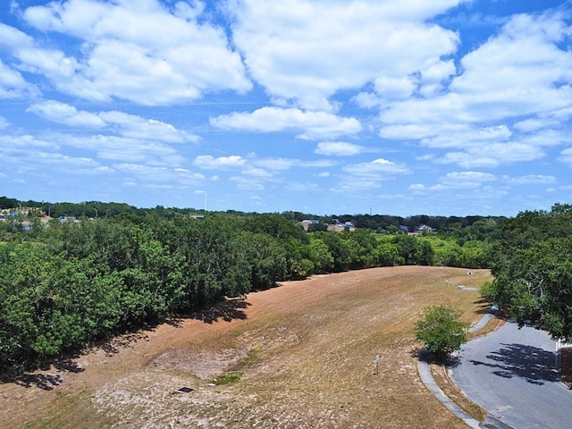 206 Westmoor Bnd, Orlando, FL 32835 - drone / aerial view