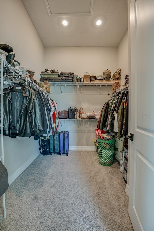 887 Lake Hill Way, Deland, FL 32724 - spacious closet featuring carpet flooring and attic access