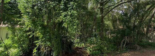 1160 19th St, Orange City, FL 32763 - photo 4