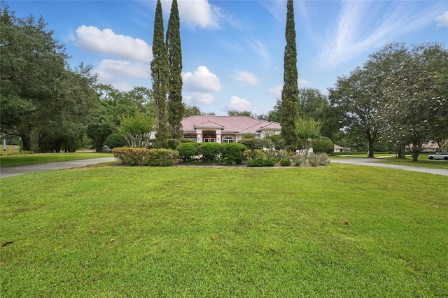 1641 Timber Hills Dr, Deland, FL 32724 - view of front of property featuring driveway and a front lawn