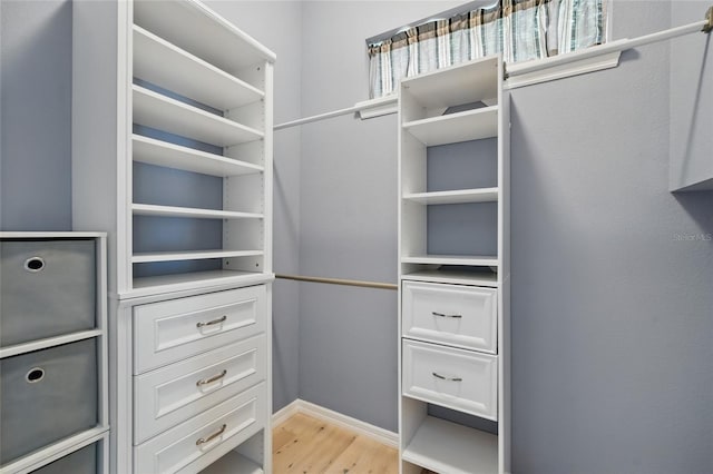 1641 Timber Hills Dr, Deland, FL 32724 - walk in closet featuring light wood-type flooring