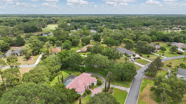 1641 Timber Hills Dr, Deland, FL 32724 - aerial perspective of suburban area with a forest