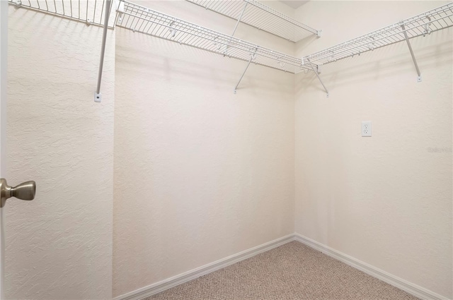 11094 SE 173rd Ln, Summerfield, FL 34491 - walk in closet featuring carpet floors