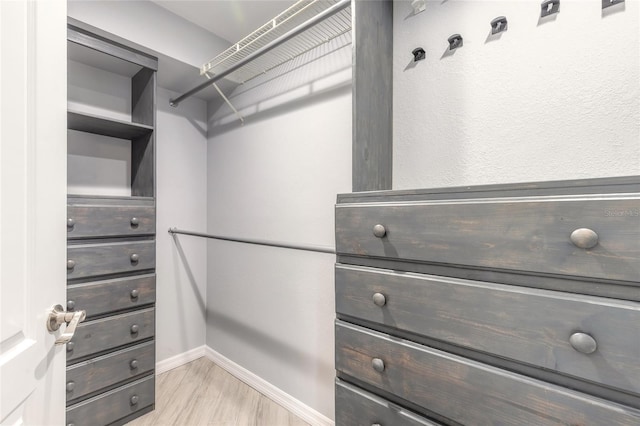 85 Pheasant Dr, Palm Coast, FL 32164 - spacious closet featuring light wood-style floors
