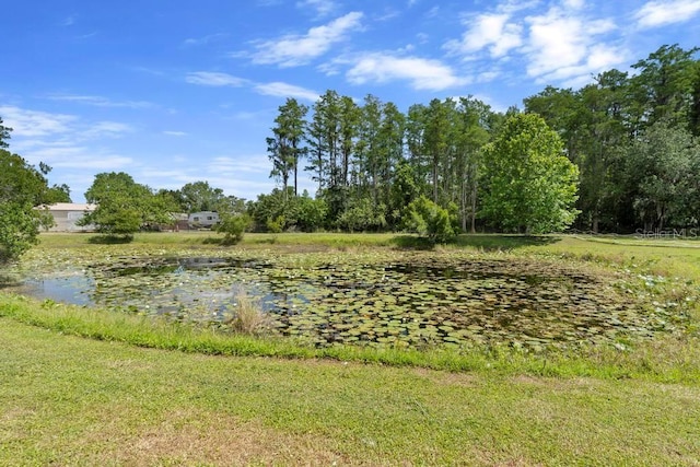 4145 Rambler Ave, Saint Cloud, FL 34772 - photo 47