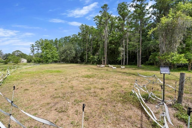 4145 Rambler Ave, Saint Cloud, FL 34772 - photo 50