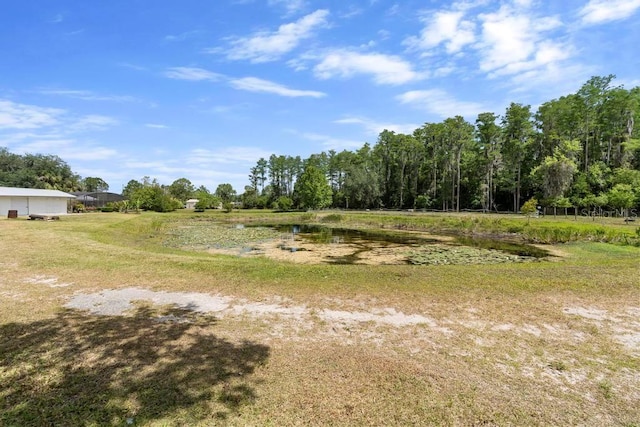 4145 Rambler Ave, Saint Cloud, FL 34772 - photo 53