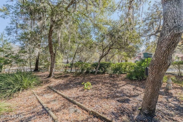 3601 Galway Ln, Ormond Beach, FL 32174 - view of yard