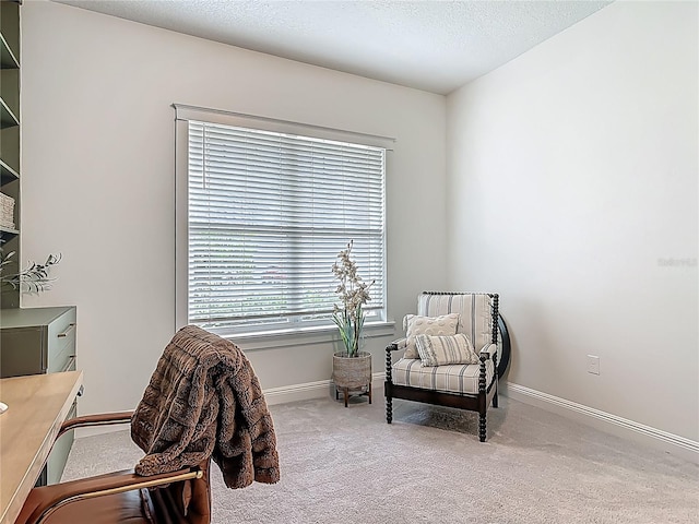 409 Nowell Loop, Deland, FL 32724 - living area with carpet, baseboards, and a textured ceiling