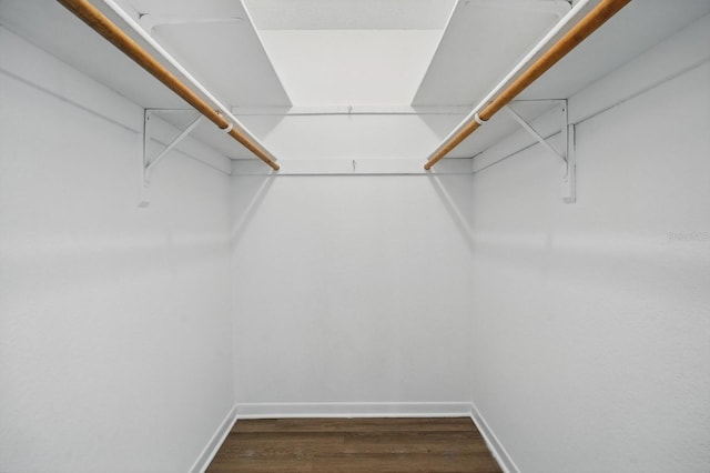 1209 James Ter, Daytona Beach, FL 32117 - walk in closet featuring dark wood-style floors