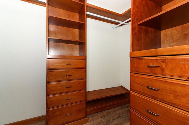 340 Hampton Hills Ct, Debary, FL 32713 - walk in closet featuring dark wood-style flooring