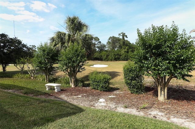 340 Hampton Hills Ct, Debary, FL 32713 - view of green lawn