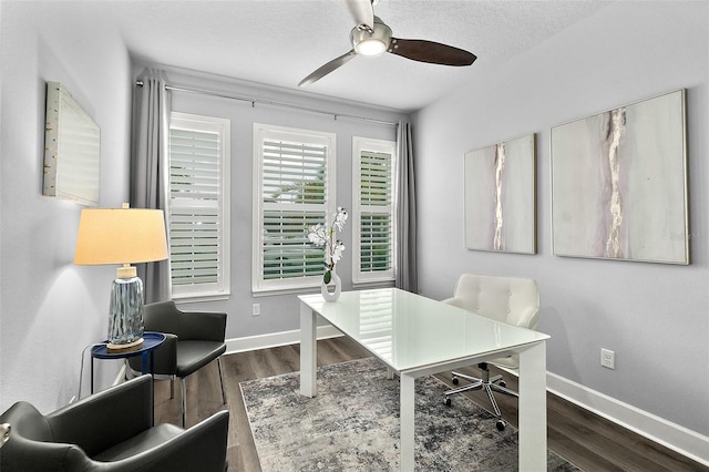 165 Azure Mist Way, Daytona Beach, FL 32124 - home office featuring wood finished floors, ceiling fan, baseboards, and a textured ceiling