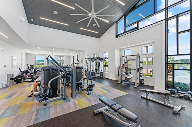 165 Azure Mist Way, Daytona Beach, FL 32124 - gym with a towering ceiling, plenty of natural light, and baseboards