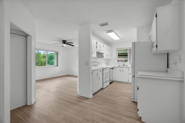 1601 Big Tree Rd Unit 1301, South Daytona, FL 32119 - photo 10
