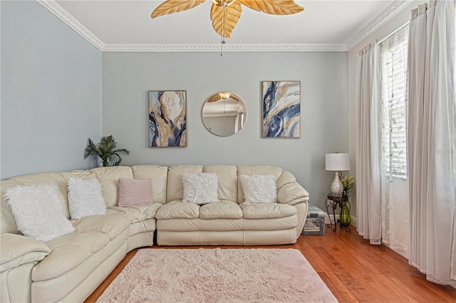 4604 Barbados Loop, Clermont, FL 34711 - living room with ceiling fan, crown molding, and light wood-style floors