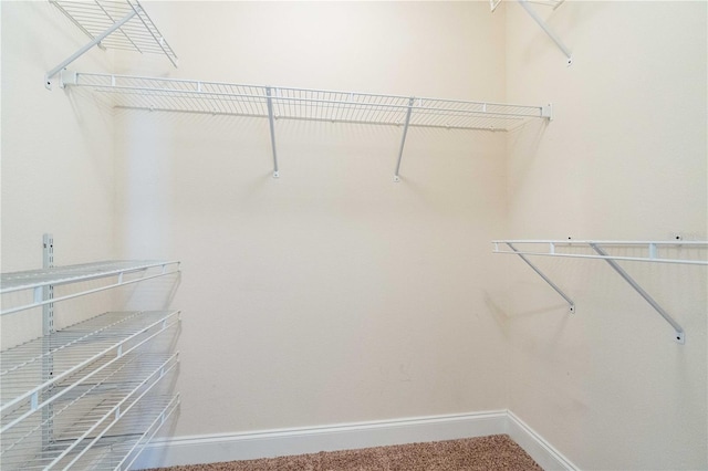 703 Elkhorn Fern Ln, Deland, FL 32720 - walk in closet with carpet flooring