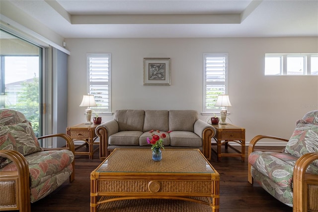 living area with dark wood finished floors and a raised ceiling