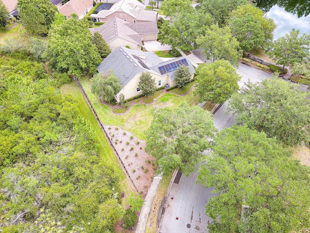 aerial view