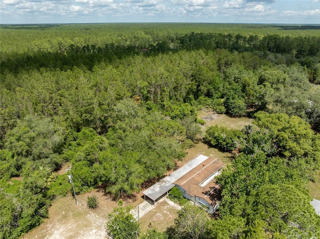 29505 N Blvd, Paisley, FL 32767 - photo 3