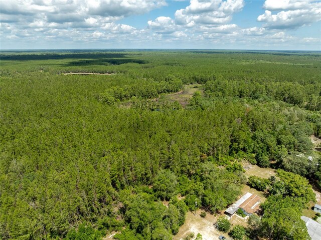 29505 N Blvd, Paisley, FL 32767 - photo 5
