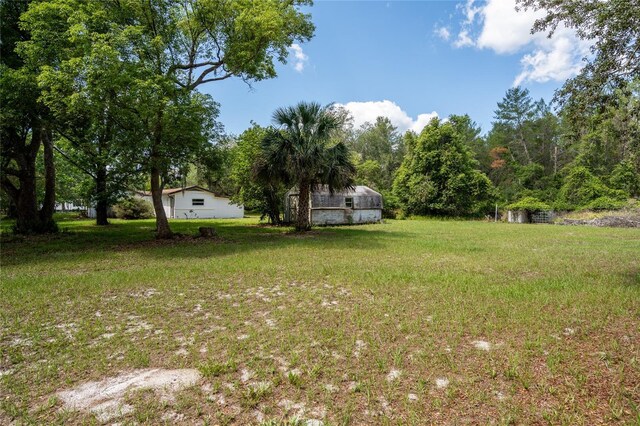 29505 N Blvd, Paisley, FL 32767 - photo 13
