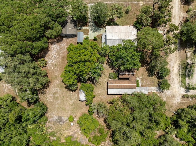29505 N Blvd, Paisley, FL 32767 - photo 15
