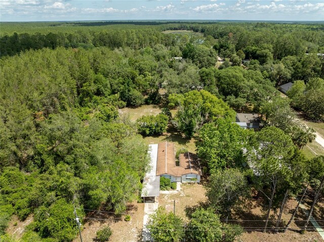 29505 N Blvd, Paisley, FL 32767 - photo 16