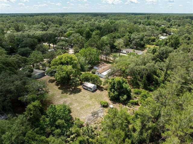29505 N Blvd, Paisley, FL 32767 - photo 17