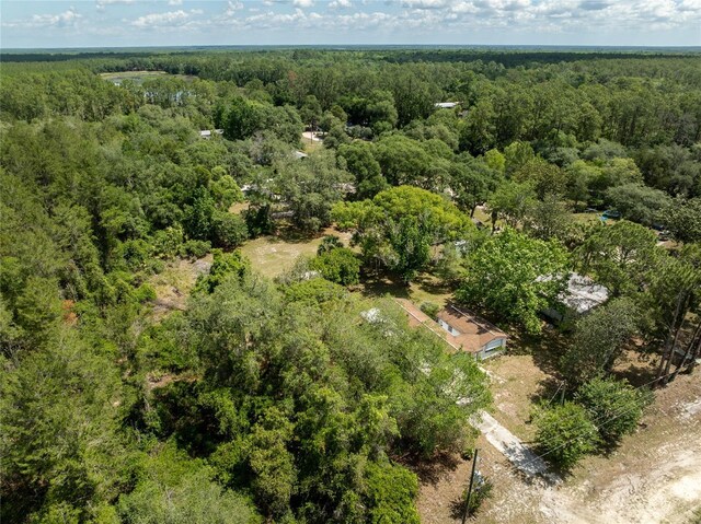 29505 N Blvd, Paisley, FL 32767 - photo 18