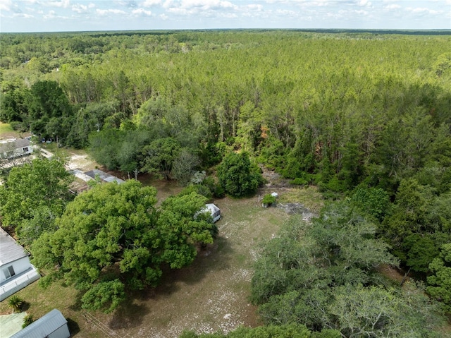 29505 N Blvd, Paisley, FL 32767 - photo 19