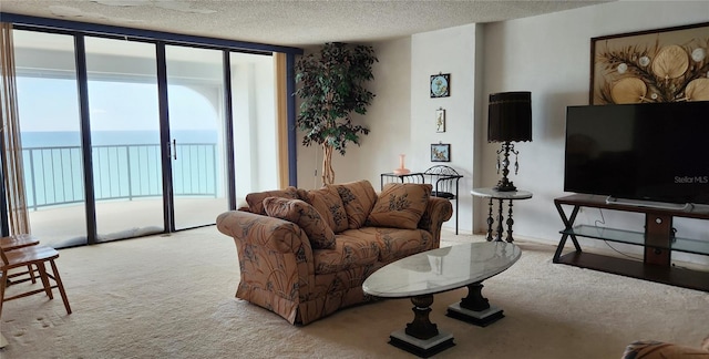 carpeted living area with a textured ceiling