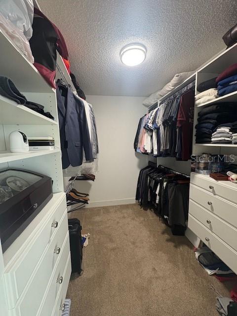 walk in closet featuring carpet